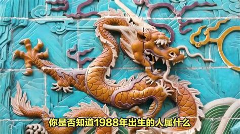 88年生肖|1988年属什么生肖的 1988年出生是什么命